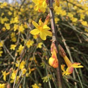 Meet your Posher, Arina